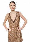 Sylvia Two-Tone Trim V-Neck Mini Dress