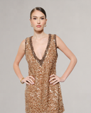 Sylvia Two-Tone Trim V-Neck Mini Dress