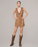 Sylvia Two-Tone Trim V-Neck Mini Dress